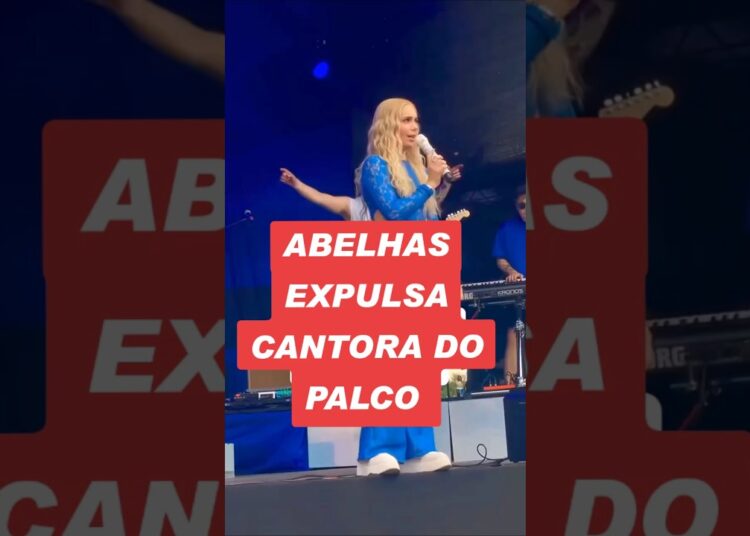 ABELHAS EXPULSA CANTORA#aluiziosousa974#fofoca#fofocas#fofocasdosfamosos#fypp#fbreels#fb#fpy#fpyシ#