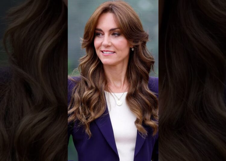 Kate pressiona governo por licença paternidade decente!  #shortsyoutube    #shortsfeed  #news