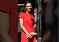 Lk Bennett Red Dress, Super Rare!