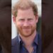 “Harry perde tudo! Petição da Câmara dos Lordes choca a realeza”  #shorts   #shortsfeed  #news
