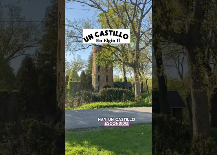 #elgin #cdmx #mexico #nancycaminando #viralvideo #castillo #realeza