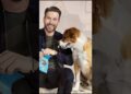 5 celebridades que adotaram seus companheiros animais