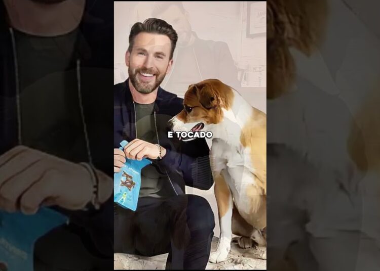 5 celebridades que adotaram seus companheiros animais
