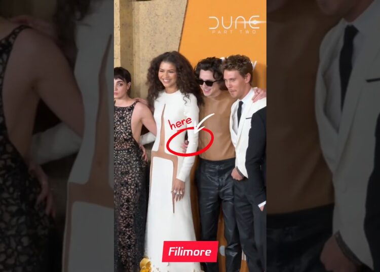 Silver Screen Royalty: Zendaya & Timothée Rule the Premiere Night