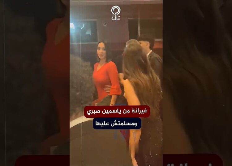 بسنت شوقي تتجاهل ياسمين صبري في العرض الخاص لفيلم المشروع x