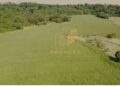 FAZENDA 18 ALQUEIRES REALEZA PR