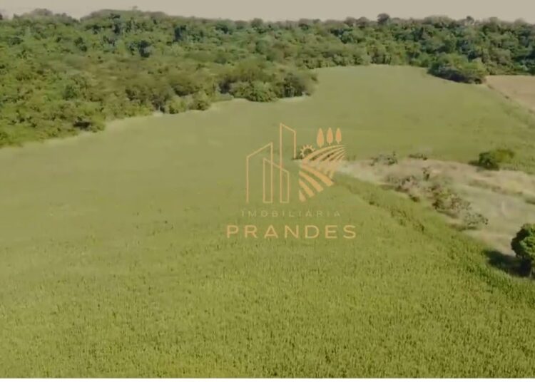 FAZENDA 18 ALQUEIRES REALEZA PR