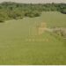 FAZENDA 18 ALQUEIRES REALEZA PR