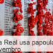 Porque é que a realeza está a usar alfinetes de papoila em novembro?