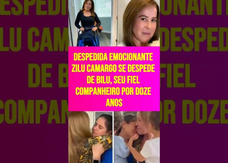 Despedida emocionante Zilu Camargo se despede de Bilu, seu fiel companheiro por doze anos