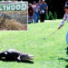 Alligator de 'Happy Gilmore' morto, mas continuará assustando as crianças por 'anos próximos'