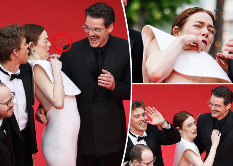 Emma Stone atacou por Bee em Cannes com Pedro Pascal, Austin Butler