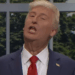 'SNL's Trump assina' Belichick Law 'em Spree de Ordem Executiva