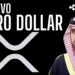 🚀 La REALEZA SAUDÍ apuesta por XRP🔥El rumor era CIERTO🚨El nuevo PETRO-XRP ya esta aqui 💰