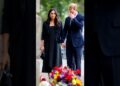 Meghan never understood Harry’s pain #royal #princeharry #meghanmarkle