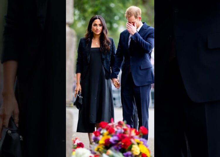 Meghan never understood Harry’s pain #royal #princeharry #meghanmarkle