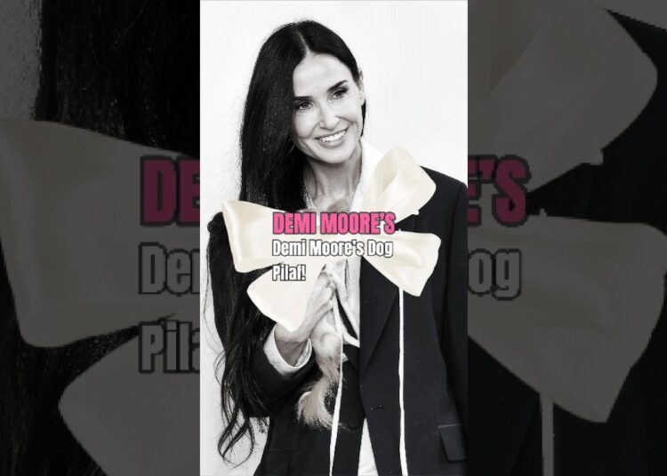 Demi Moore’s Famous Dog Pilaf Stole The Show. #demimoore #pilaf