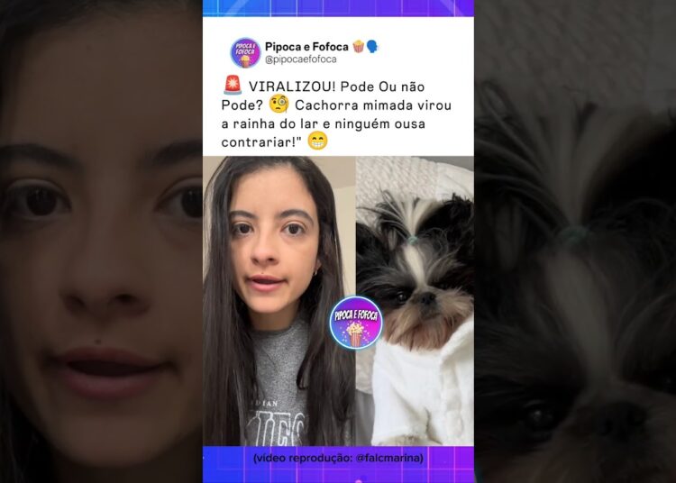 VIRALIZOU a Cachorra Mimada😂 #viralshort #fofocas #videoslegais