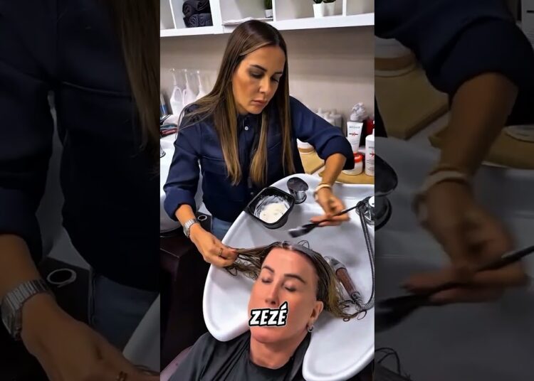 ZILU CAMARGO QUER CHAMAR ATENÇÃO DO ZEZÉ! #fofoca #celebridades #famosos