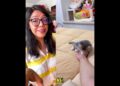 🐱❤️ De la calle a la realeza: Ahora duerme en una cama gigante 🛏️🥹