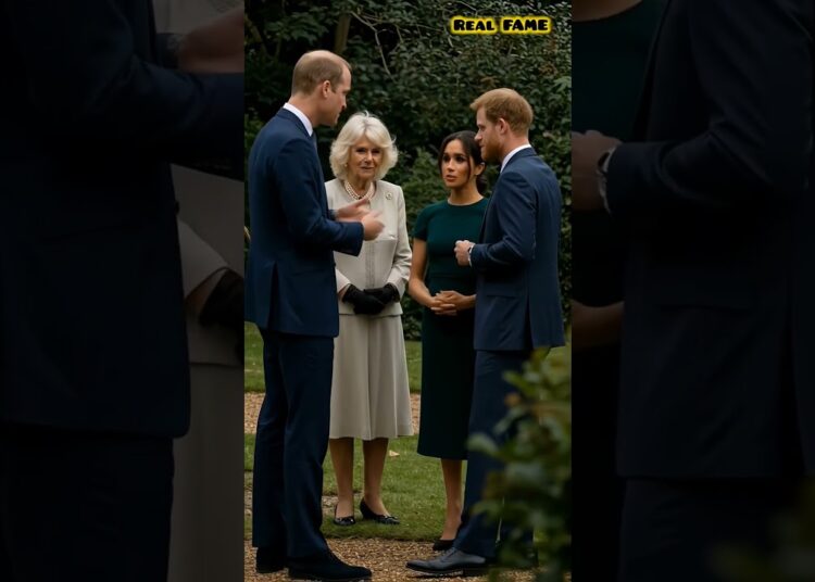 British Royal family members #meghanmarkle #princeharry #princewilliam #camilla #royalfamily