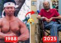 20 Kung Fu Stars ★ Then And Now in 2025