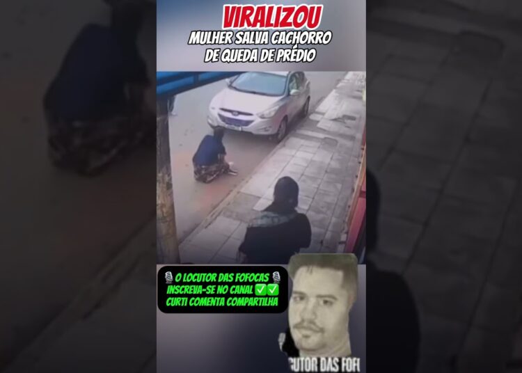MULHER SALVA CACHORRINHO DE QUEDA DE PRÉDIO #noticias #fofocas #famosos #viralizou