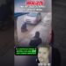 MULHER SALVA CACHORRINHO DE QUEDA DE PRÉDIO #noticias #fofocas #famosos #viralizou