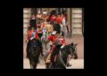A realeza do passado e do Futuro! Queen Elizabeth II and King Charles III…