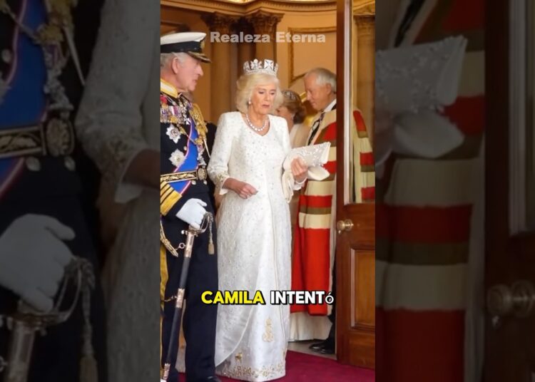 El tesoro de Diana que Camila nunca pudo robar #princess #realeza #royals #royalfamily #celebrity