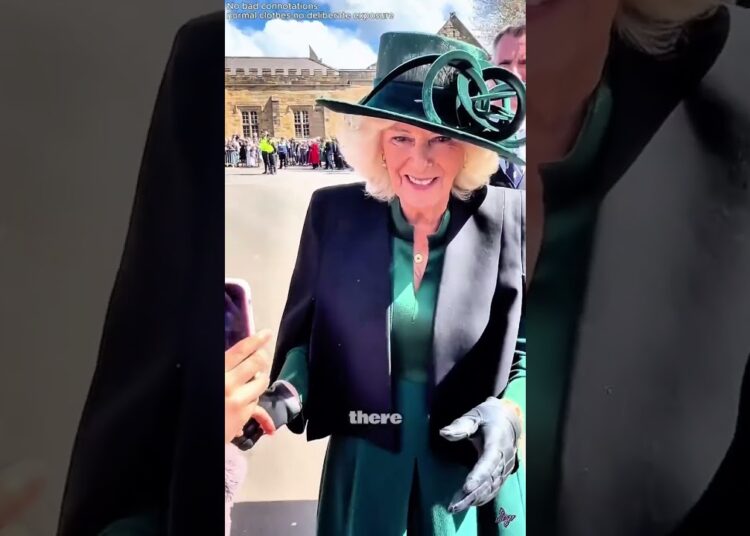 Prince William takes revenge on Camilla.#celebrity #princewilliam #camilla #royal #us #shorts