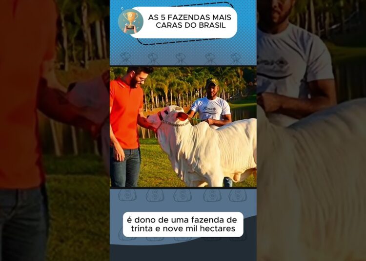 As 5 Fazendas Mais Caras de Celebridades no Brasil  – Parte 2