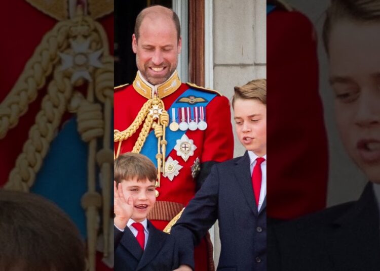 Príncipe George repreende Louis em pleno desfile real! #shortsfeed  #shortsyoutube