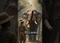 Countries As Celebrity Zookeepers 🐅🔥#shorts #aishorts #ai #youtubeshorts #celibrities