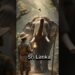 Countries As Celebrity Zookeepers 🐅🔥#shorts #aishorts #ai #youtubeshorts #celibrities