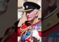 Todo estuvo listo para Trooping the Colour: Londres se vistió de gala #familiareal