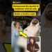 Dubai Royal Family|Dubai Princess Sheikha latifa with father Sheikh Rashid & Mother kids#family