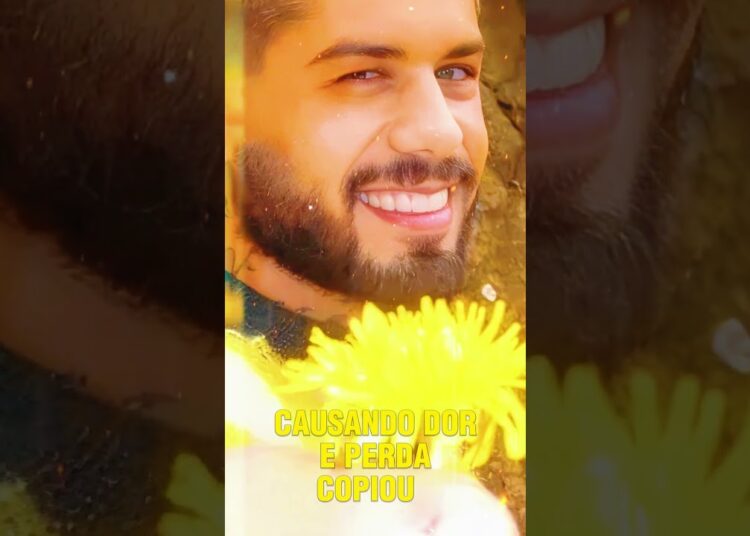 Nova música de Zé Felipe parece indireta pra Vi