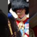 Prince Louis Stole the Show AGAIN? Royal Kids Go Viral at Trooping the Colour #royalfamily