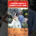 A cerimônia luxuosa de Isis e Buaiz #fofocas #famosos #celebridades