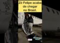 Zé Felipe chegou no Brasil!🇧🇷