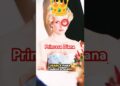 DONDE FUERON LA ROPA QUE USABA PRINCESA DIANA COMO REALEZA