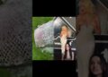 Почему они получили совершенно разную реакцию, хотя обе подражали Мэрилин Монро #кардашьян #звезды