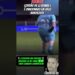 GORDÃO DA XJ BOMBA E É OVACIONADO EM JOGO BENEFICIENTE #noticias #fofocas #famosos #viralizou