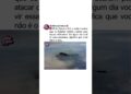 AVIÃO DOS EUA QUE ATACOU IRÃ😱🚨 #guerra #noticias #mundo #brasil #avião B-2
