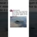 AVIÃO DOS EUA QUE ATACOU IRÃ😱🚨 #guerra #noticias #mundo #brasil #avião B-2