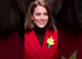 “Choro da princesa Kate no Troping the Color causa pânico sobre saúde” #shortsfeed #shorts