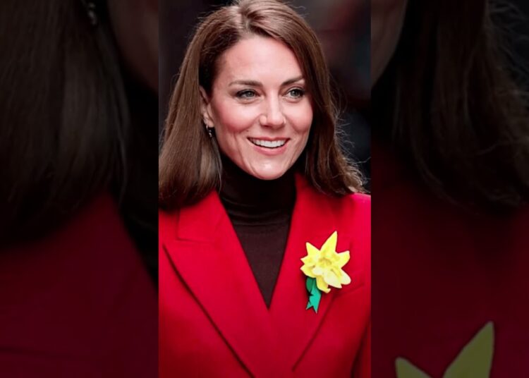 “Choro da princesa Kate no Troping the Color causa pânico sobre saúde” #shortsfeed #shorts