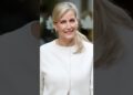 “Duquesa Sophie faz declaração discreta sobre Harry e Meghan” #shorts #shortsfeed #news