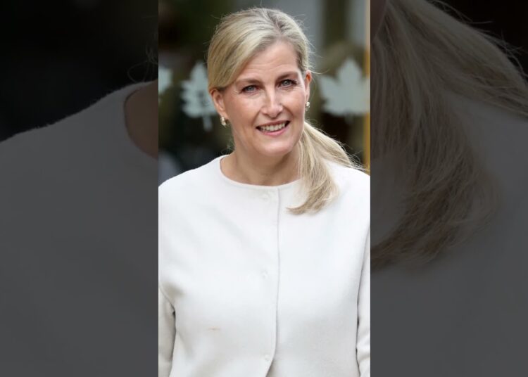 “Duquesa Sophie faz declaração discreta sobre Harry e Meghan” #shorts #shortsfeed #news